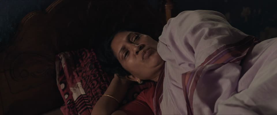 Cocoons (2026) Hindi Dubbed Movie video thumbnail 6