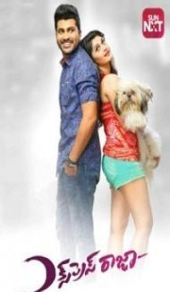 Express Raja (2016) South Indian Hindi Dubbed Movie poster