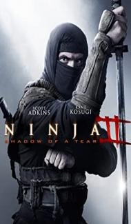 Ninja 2 Shadow of a Tear (2013) Hindi Dubbed poster