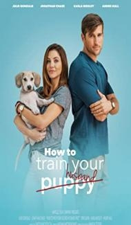 How To Train Your Husband (2017) Hindi Dubbed poster