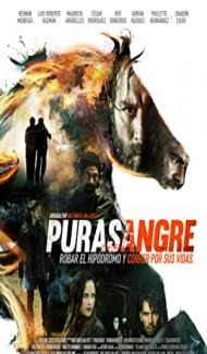 Purasangre (2016) Hindi Dubbed poster