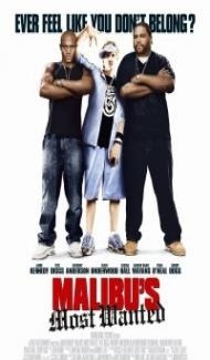 Malibus Most Wanted (2003) Hindi Dubbed poster