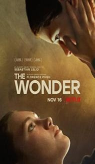 The Wonder (2022) Hindi Dubbed poster