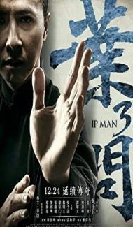 Ip Man 3 (2015) Hindi Dubbed poster