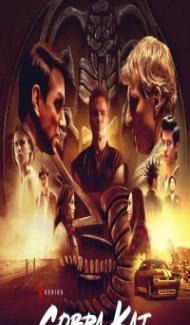 Cobra Kai (2018) Web Series poster