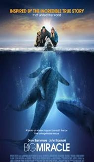 Big Miracle (2012) Hindi Dubbed poster