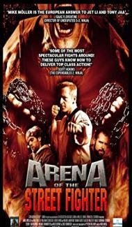 Arena of the Street Fighter (2012) Hindi Dubbed poster