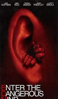 Enter the Dangerous Mind (2013) Hindi Dubbed poster