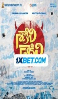 Saakini Daakini (2022) Hindi Dubbed poster