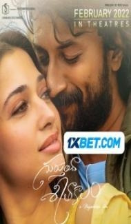 Gurthunda Seethakalam (2022) South Indian Hindi Dubbed Movie poster