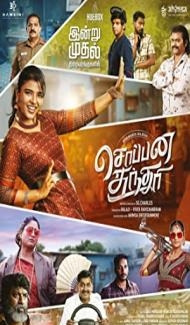 Soppana Sundari (2023) South Indian Hindi Dubbed Movie poster
