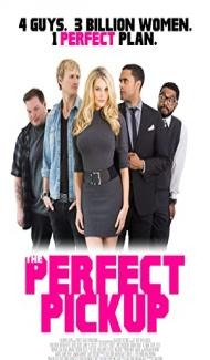 The Perfect Pickup (2020) Hindi Dubbed poster