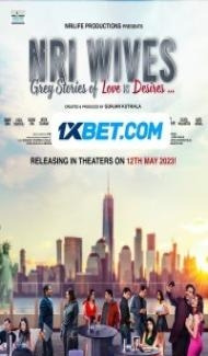 NRI Wives (2023) Hindi Movie poster