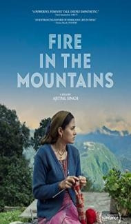 Fire in the Mountains (2021) Hindi Movie poster