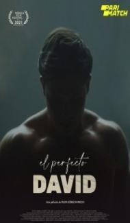 El perfecto David (2021) Hindi Dubbed poster