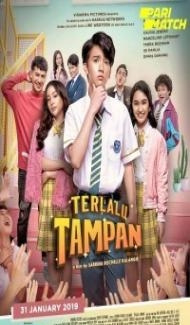 Too Handsome to Handle (2019) Hindi Dubbed poster