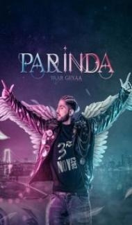 Parinda Paar Geyaa (2023) Punjabi Movie poster
