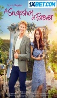 A Snapshot Of Forever (2022) Hindi Dubbed poster