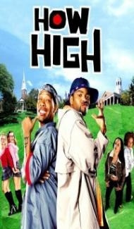 How High (2001) Hindi Dubbed poster