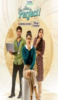 Miss Perfect (2023) Season 1 Hindi Web Series poster
