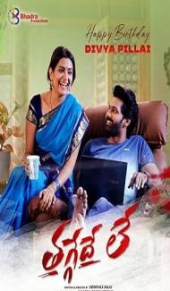 Thaggedhe Le (2022) South Indian Hindi Dubbed Movie poster