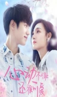 Dont Be Shy (2024) Season 1 Hindi Web Series poster