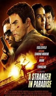 A Stranger in Paradise (2013) Hindi Dubbed poster