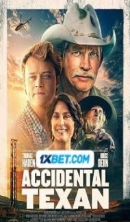 Accidental Texan (2023) Hindi Dubbed poster