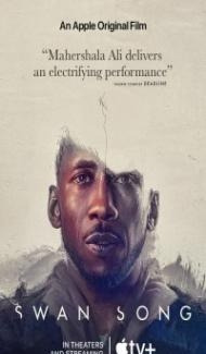 Swan Song (2021) Hindi Dubbed poster