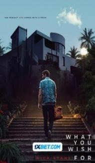 What You Wish For (2024) Hindi Dubbed poster