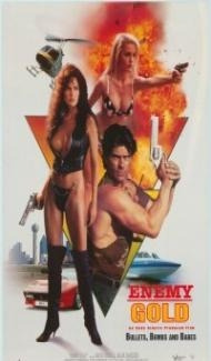 Enemy Gold (1993) Hindi Dubbed poster