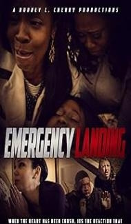 Emergency Landing (2016) Hindi Dubbed poster