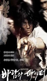 Fighter in the Wind (2004) Hindi Dubbed poster