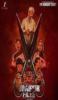 Udaipur files (2025) Hindi Movie poster