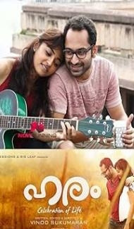 Haram (2015) Hindi Dubbed Movie poster