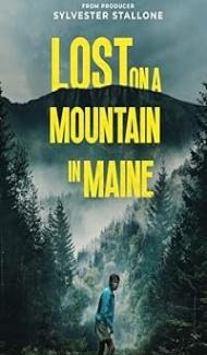 Lost on a Mountain in Maine (2024) Hindi Dubbed Movie poster