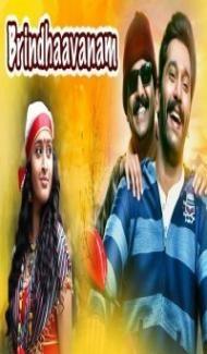 Brindavanam (2019) South Hindi Dubbed Movie poster