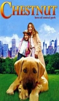 Chestnut Hero of Central Park (2004) Hindi Dubbed poster