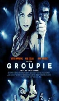 Groupie (2010) Hindi Dubbed poster