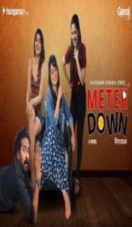 Meter Down (2021) Web Series poster