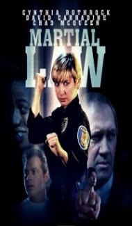 Martial Law (1990) Hindi Dubbed poster