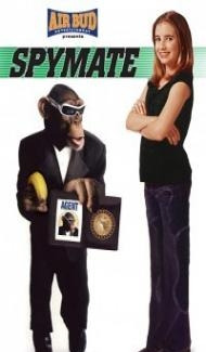 Spymate (2006) Hindi Dubbed poster