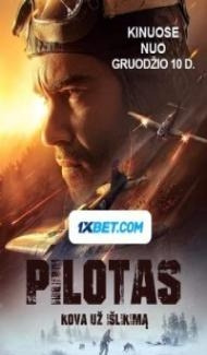 The Pilot A Battle for Survival (2022) Hindi Dubbed poster
