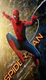 Spider-Man Homecoming (2017) Dual Audio Hindi Dubbed poster