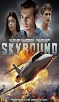 Skybound (2018) Hindi Dubbed poster