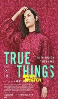 True Things (2021) Hindi Dubbed poster