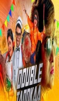 Double Taddkaa (2020) South Indian Hindi Dubbed Movie poster