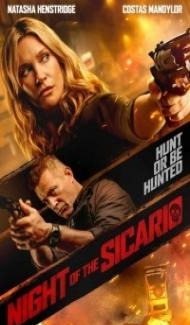 Night of the Sicario (2021) Hindi Dubbed poster