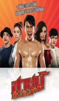 Fist of Stardom (2019) Hindi Dubbed poster