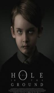 The Hole in the Ground (2019) Hindi Dubbed poster